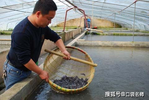 這些大學(xué)專業(yè)真的存在？葡萄干晾曬與水產(chǎn)養(yǎng)殖，你聽過幾個(gè)？