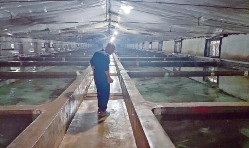 冬季惡劣天氣水產(chǎn)養(yǎng)殖管理指南 專家支招保豐收