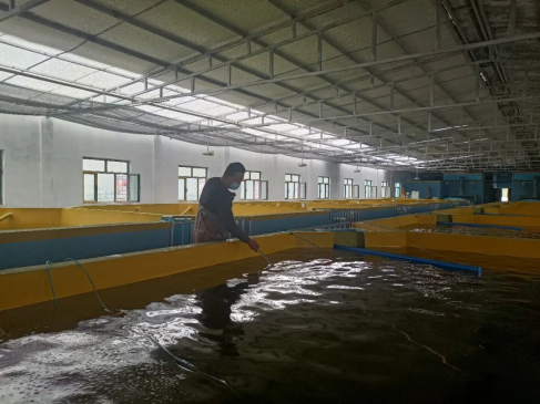 南疆水產(chǎn)養(yǎng)殖迎新篇 循環(huán)水工廠化基地在新和縣試運(yùn)行